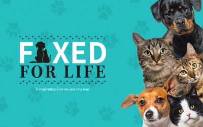 GCCF to launch FIXED for Life, a no-cost spay and neuter program to run February 1-29