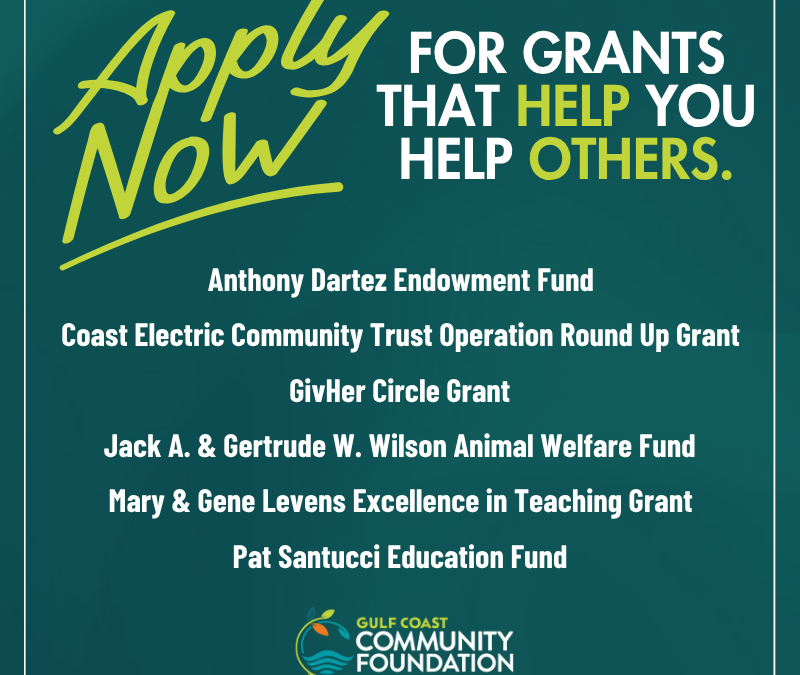 Applications are now open!